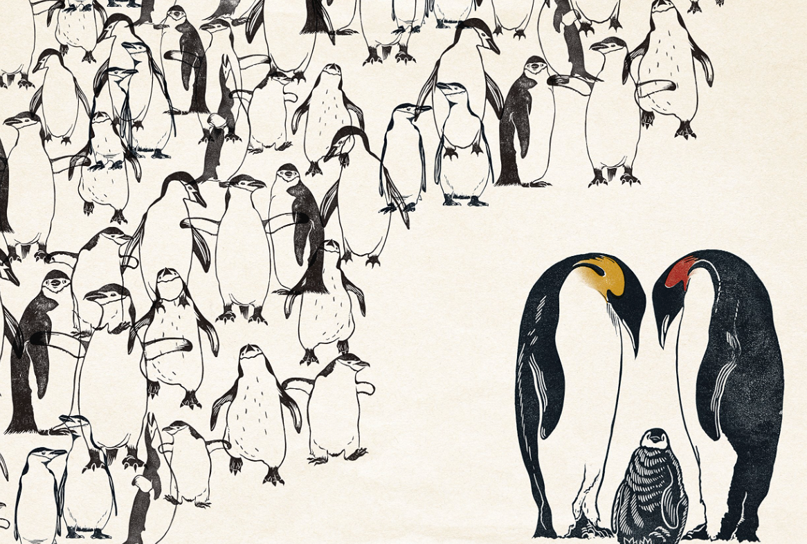 Animal Kind Children's book by Pablo Salvaje