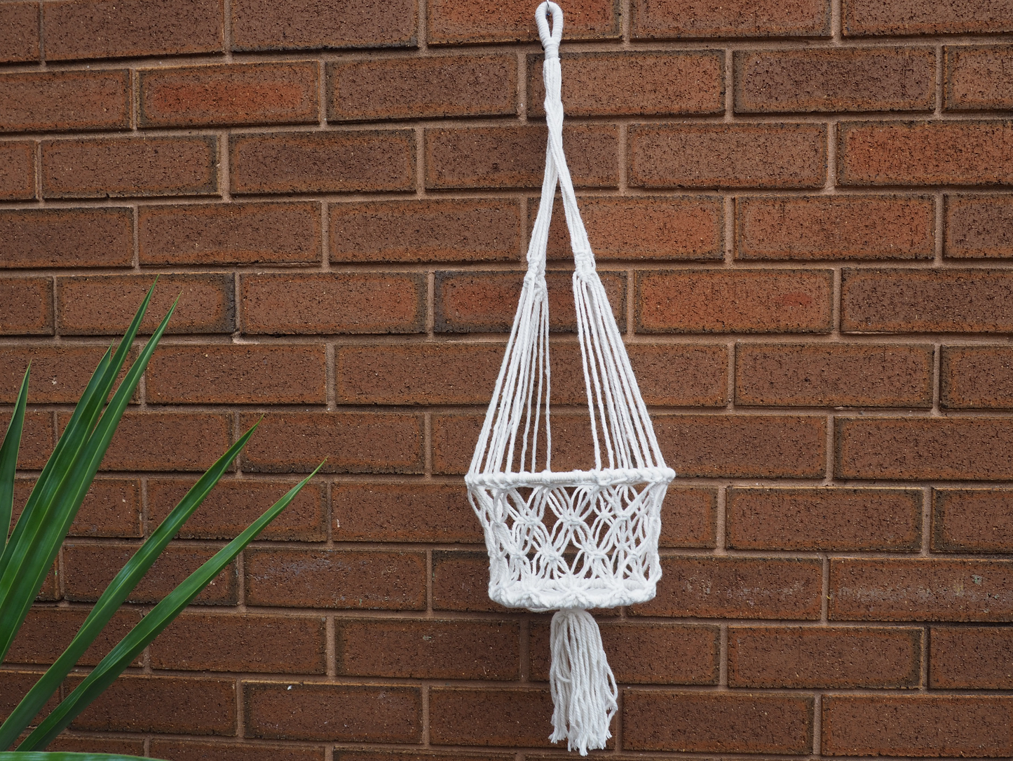White Macrame Plant Hanger