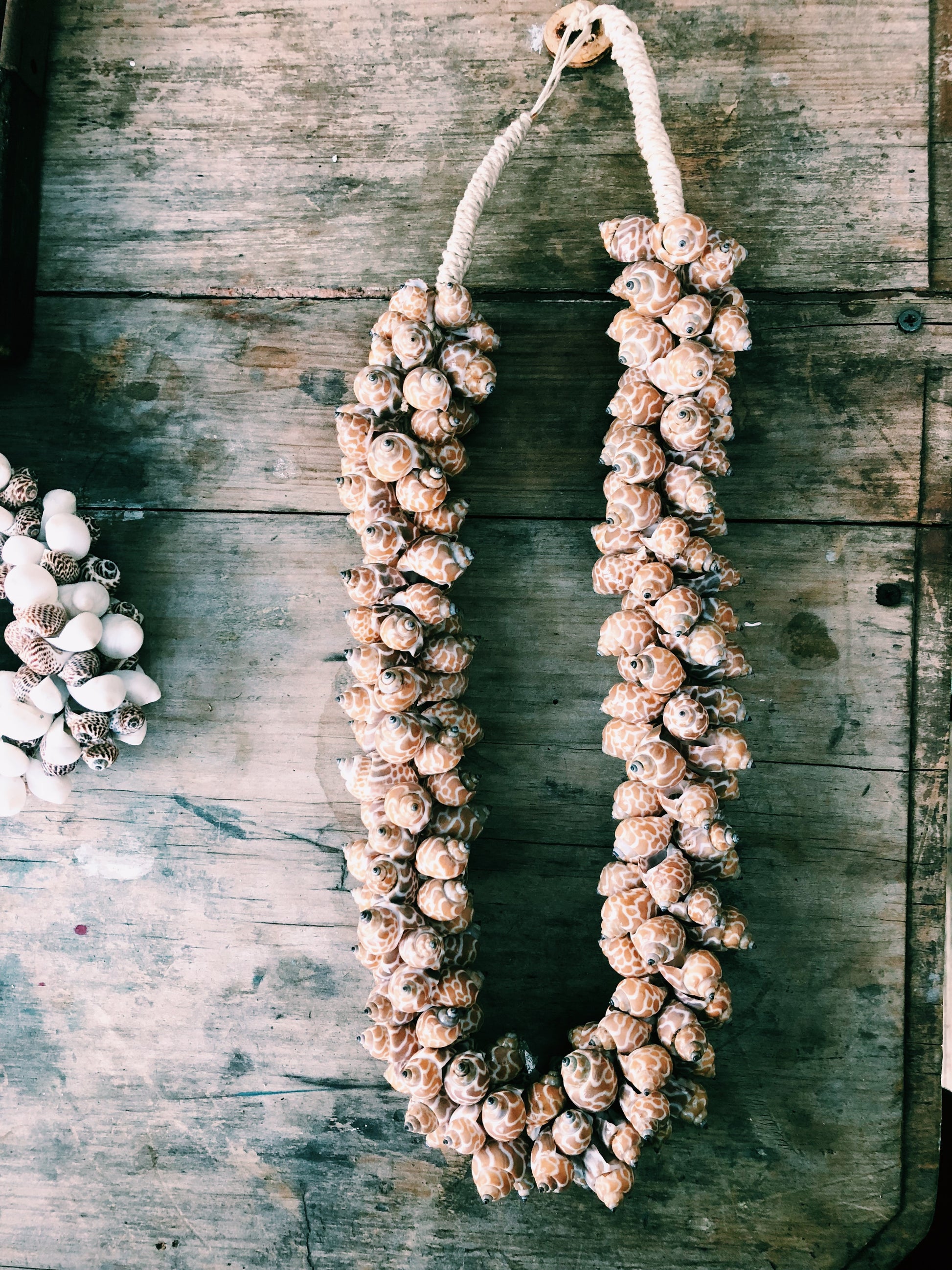shell necklace decor,wall hanging or lay flat,100's of chunky shells