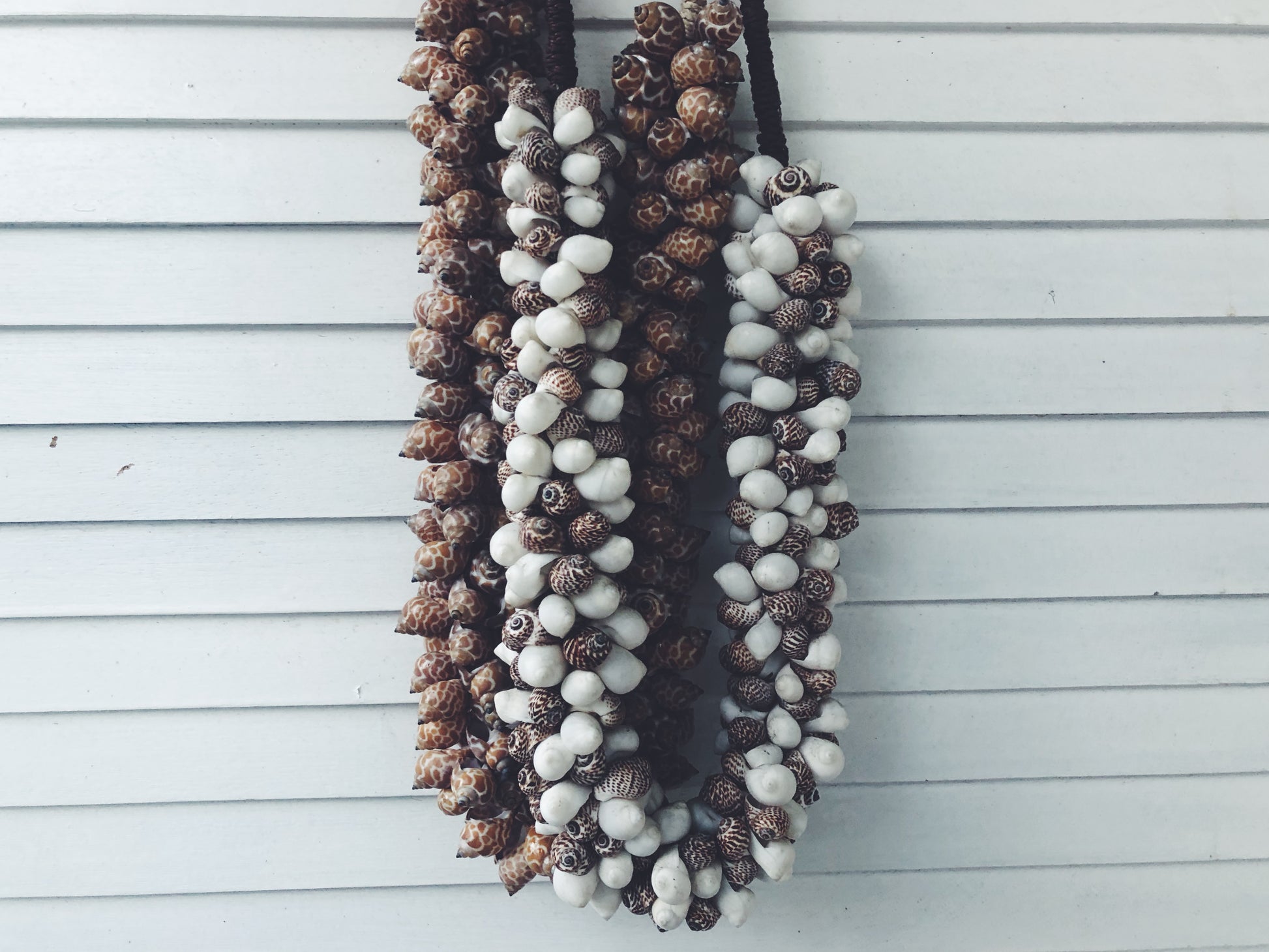 shell necklace decor,wall hanging or lay flat,100's of chunky shells