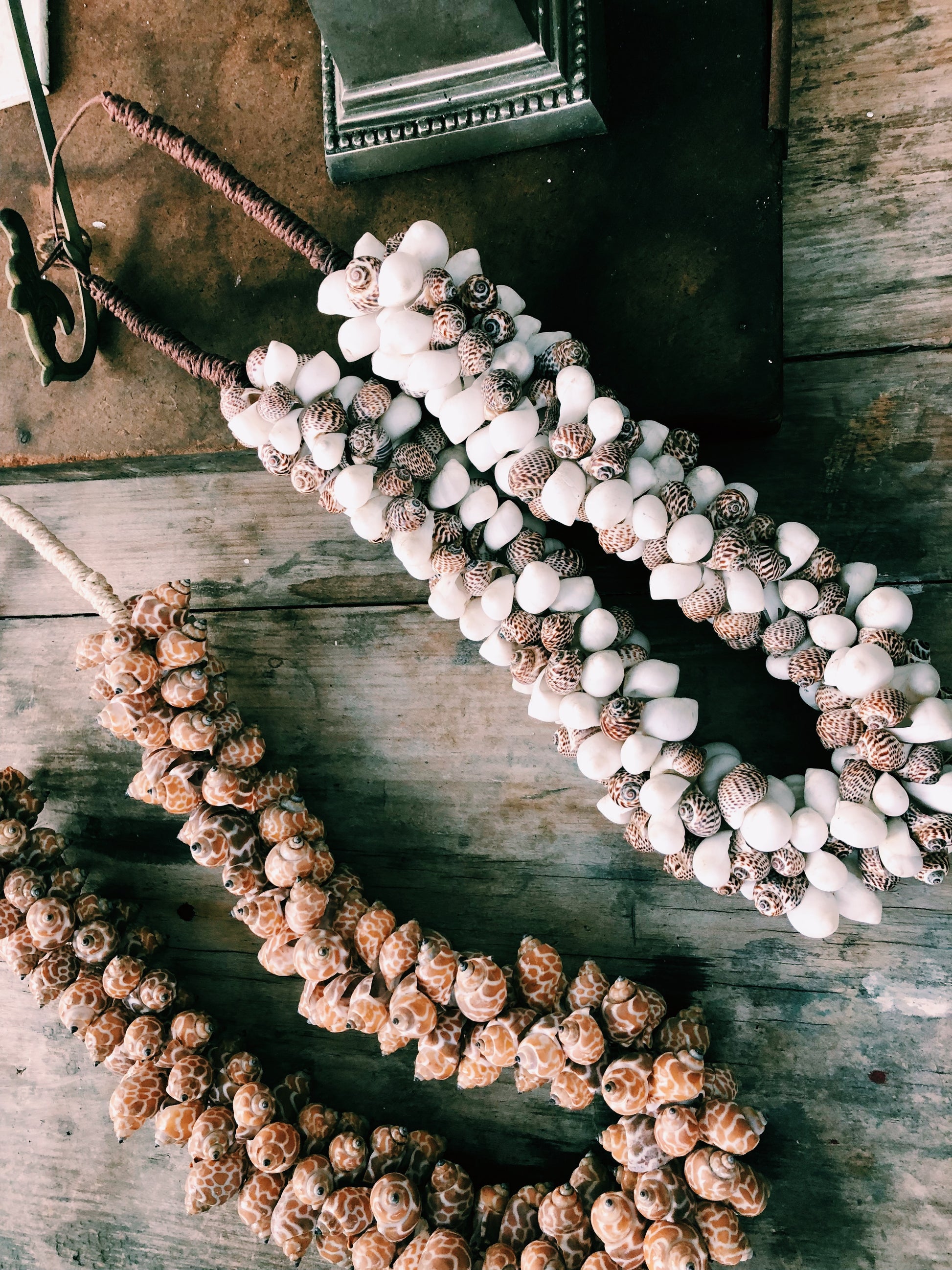 shell necklace decor,wall hanging or lay flat,100's of chunky shells