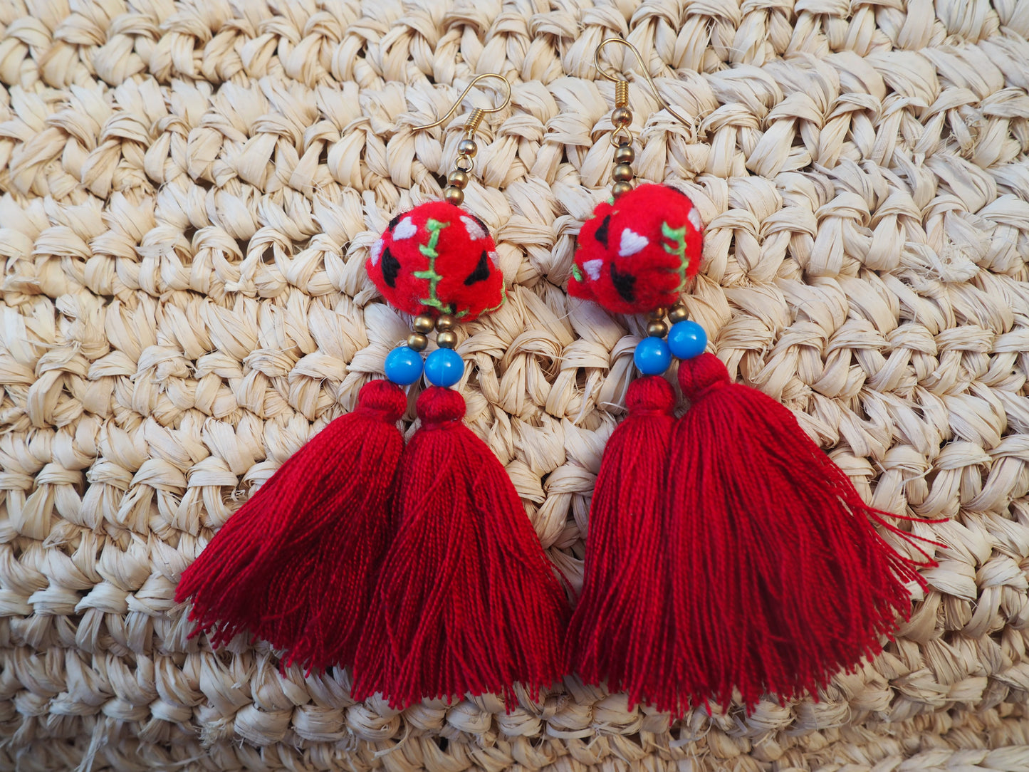 Red Freedom Embroidered Tassel Earrings