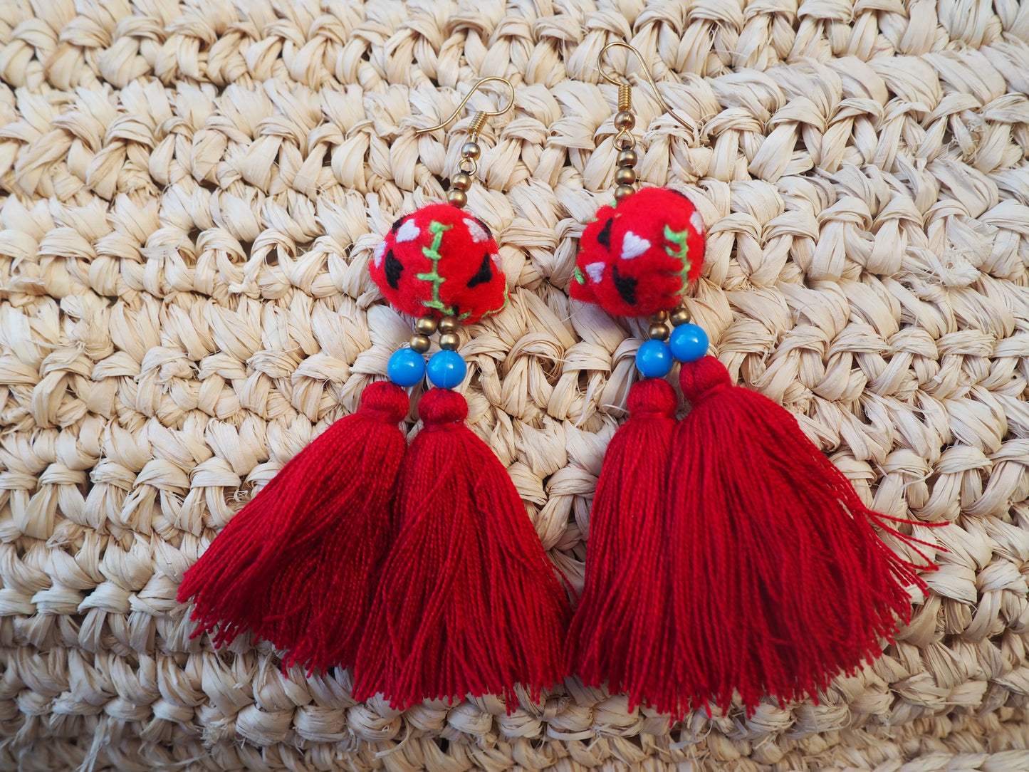 Red Freedom Embroidered Tassel Earrings