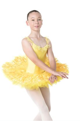Studio 7 Dancewear - Children's Season's Tutu (XXL - XXXL) - CHT07
